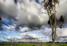 太阳能电池路灯