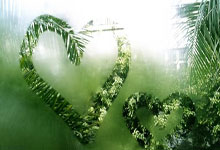 太阳能电池路灯