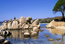 太阳能电池路灯